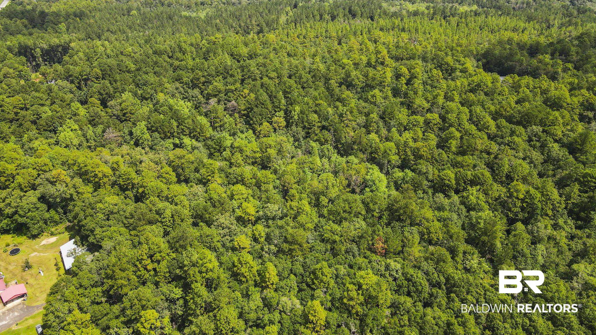 0 Mt.Pilgrim Road Eight Mile, AL 36613 - Photo 5 of 14 Bird's eye view