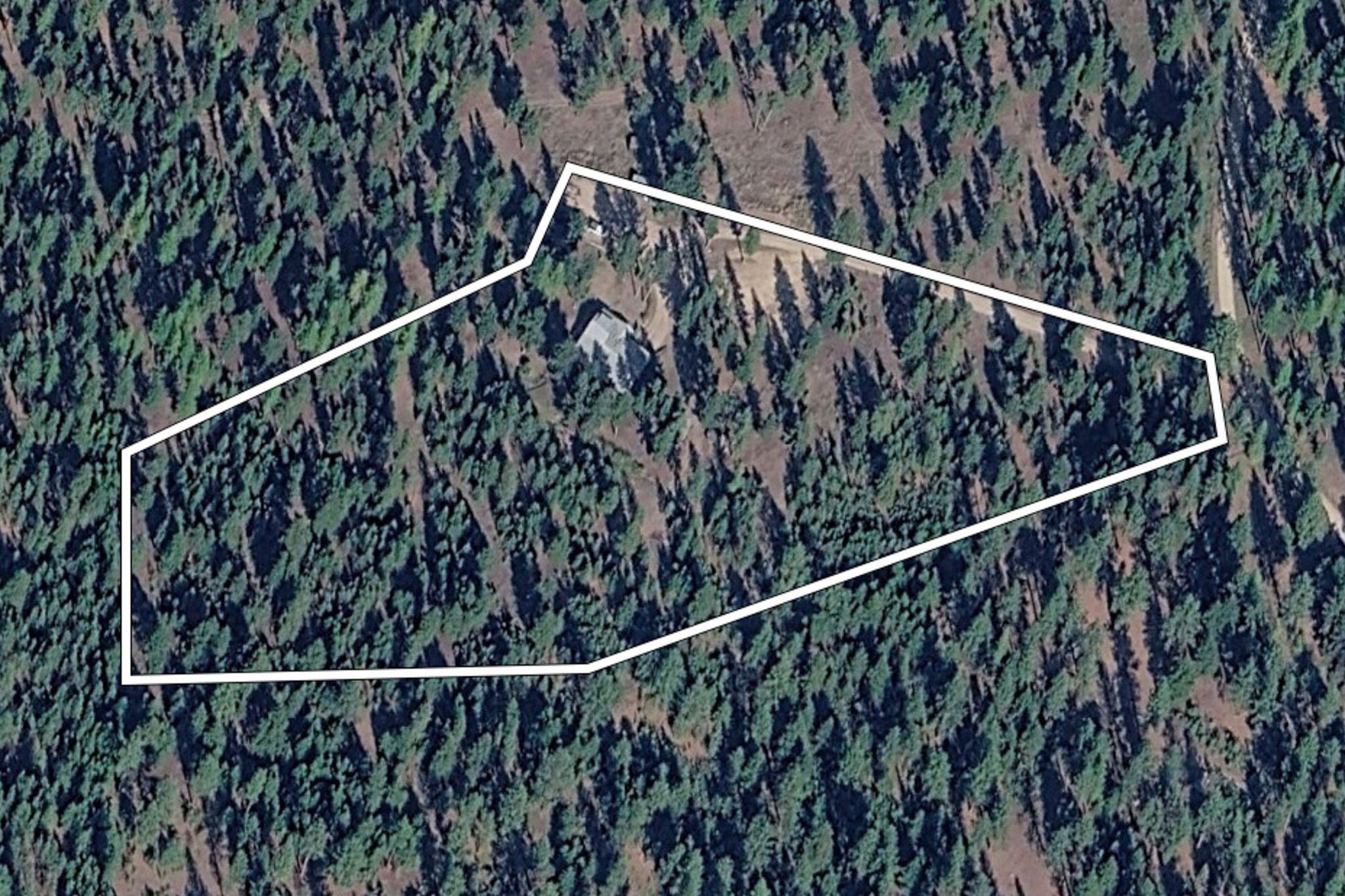 875 Hidden Treasure Court Bonner, MT 59823 - Photo 5 of 48 Gallery Image 5