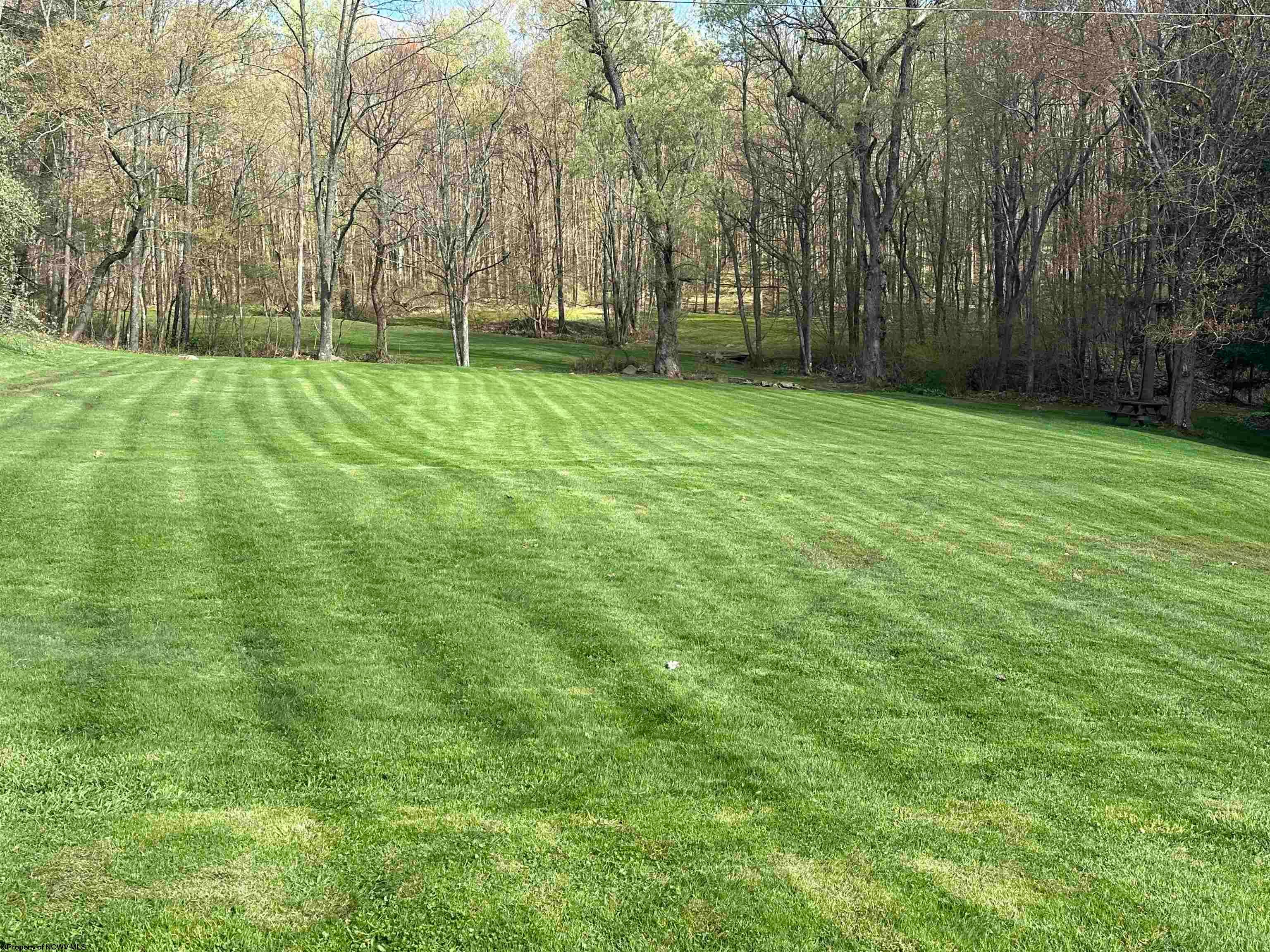 2848 Woolen Mill Road Albright, WV 26519 - Photo 7 of 48 Gallery Image 7