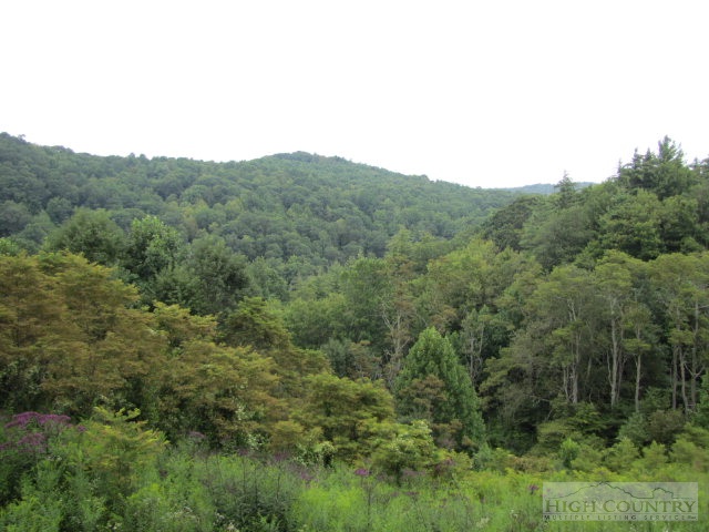 1692 Rip Shin Road Lansing, NC 28643 - Photo 10 of 22 a view of a valley