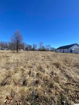 a view of a dry yard with trees
