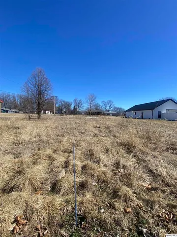 a view of a dry yard with trees