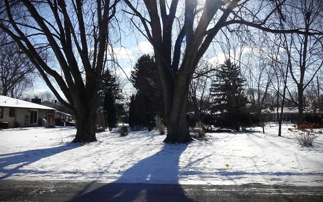 a view of snow on the side of the road