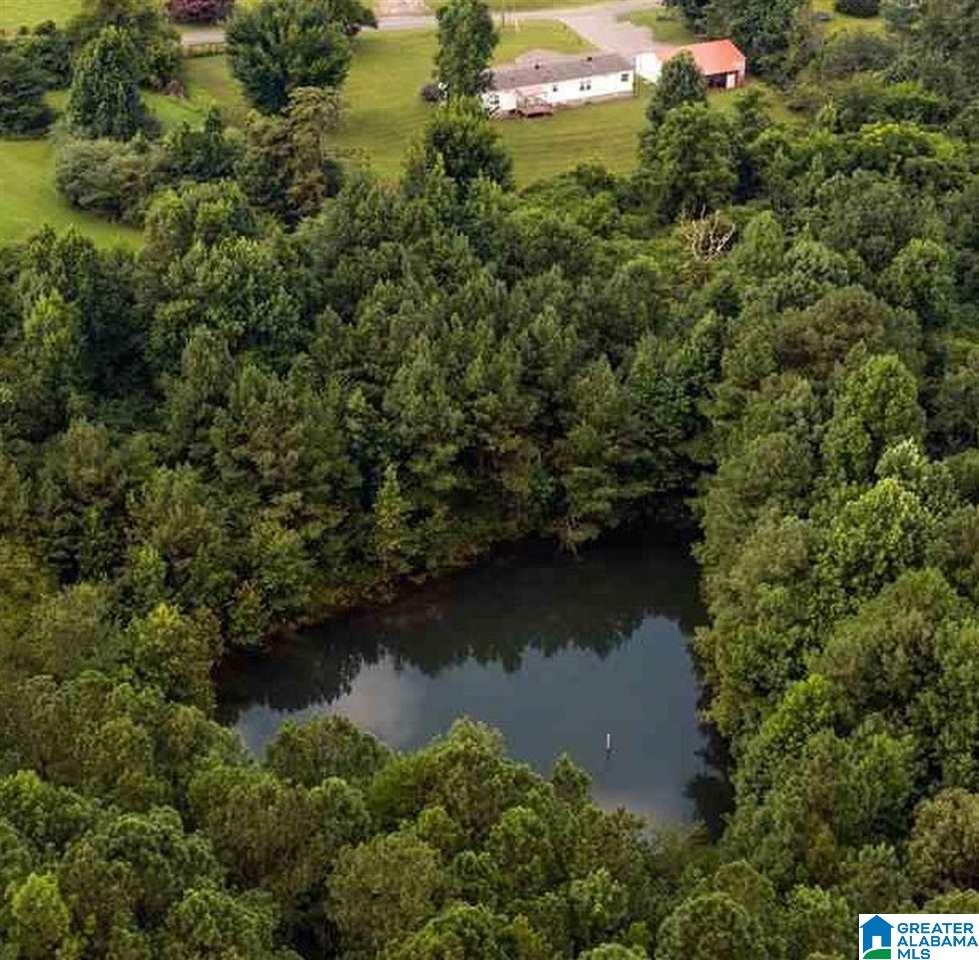 373 County Road 24 Springville, AL 35146 - Photo 40 of 43