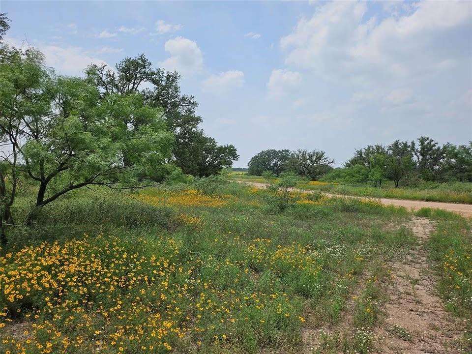 Tbd Starks Road Mason, TX 76856 - Photo 3 of 6 a view of a green field with lots of bushes
