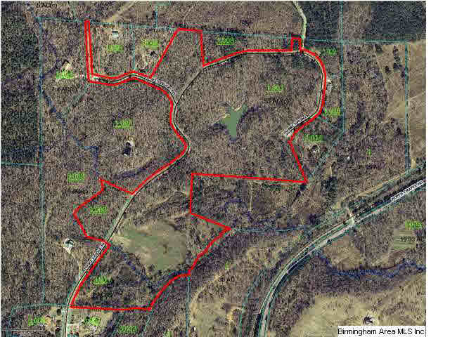Turkey Ridge, Unit 11 Ragland, AL 35131 - Photo 4 of 31