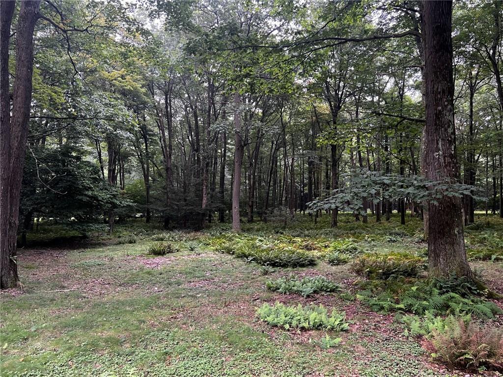 758 Village Run Road Boswell, PA 15531 - Photo 19 of 22 Gallery Image 19
