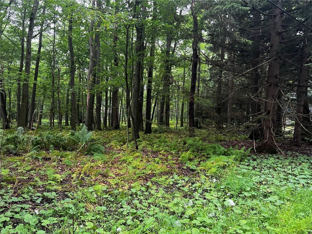 758 Village Run Road Boswell, PA 15531 - Photo 21 of 22 Gallery Image 21