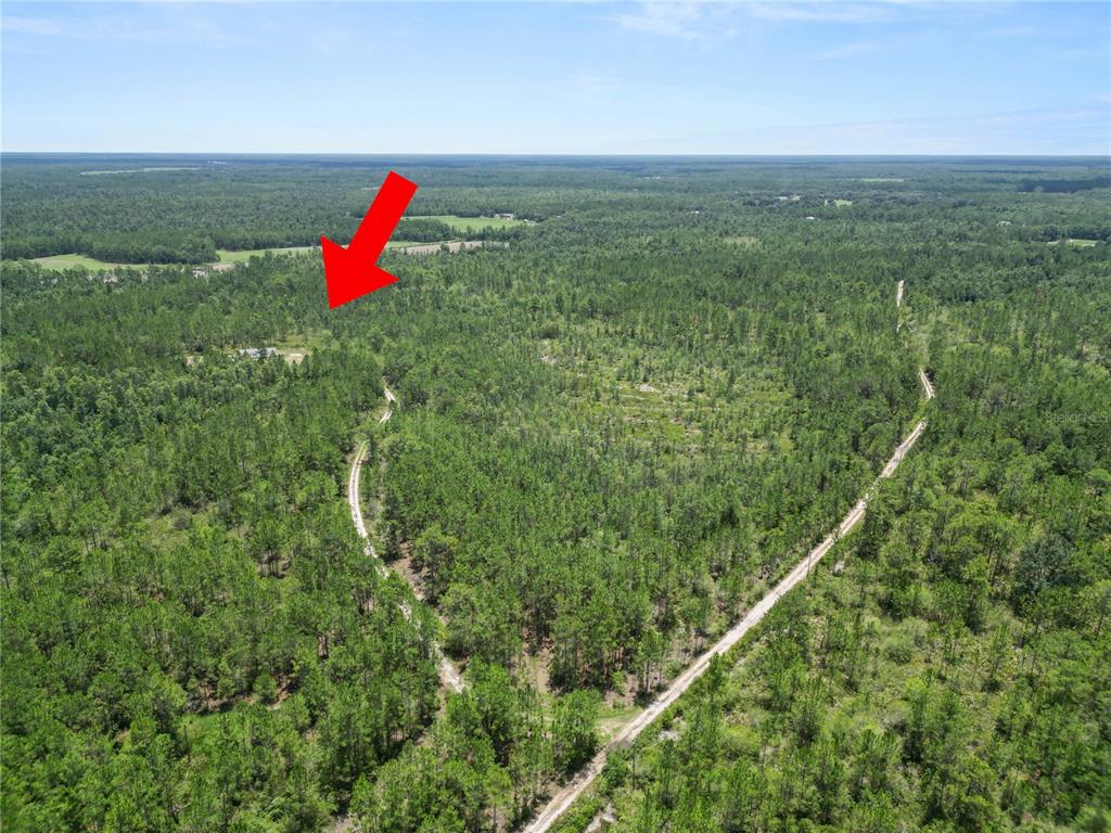 3450 Salyers Road Clermont, FL 34714 - Photo 40 of 50