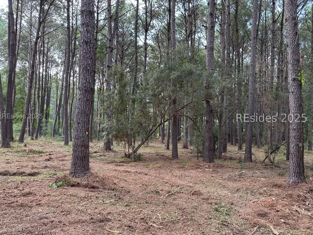 $78,000 | 464 Paige Point Bluff, Seabrook, SC 29940