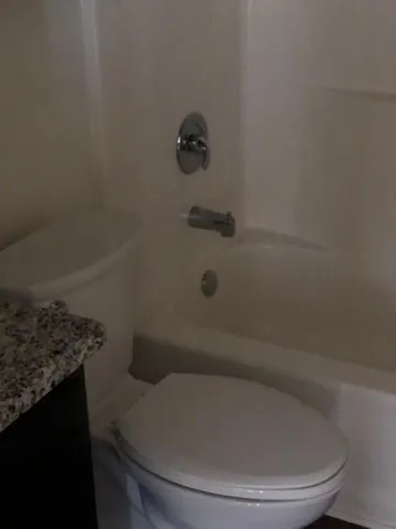 a bathroom with a toilet and a bathtub
