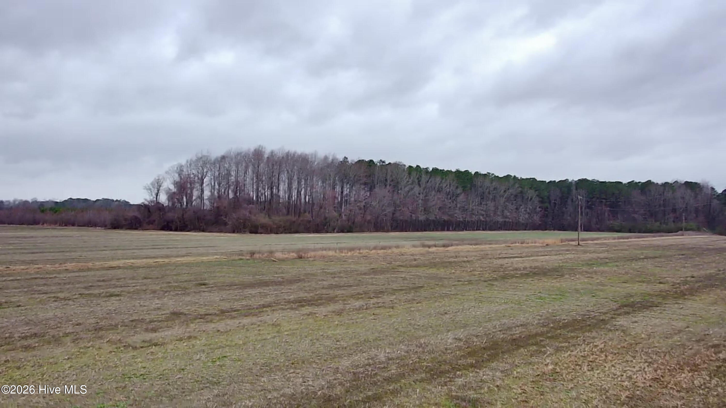 269 Creek Road Bath, NC 27808 - Photo 2 of 18