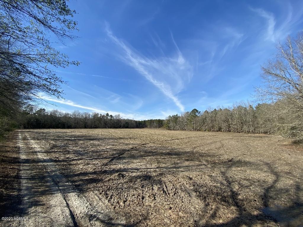 990 Mixons Corner Road Fairfax, SC 29827 - Photo 11 of 32 IMG_1113