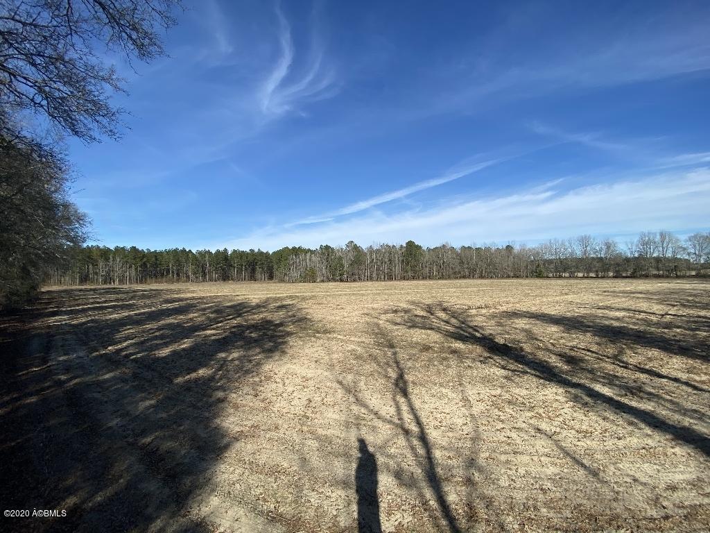 990 Mixons Corner Road Fairfax, SC 29827 - Photo 12 of 32 IMG_1114