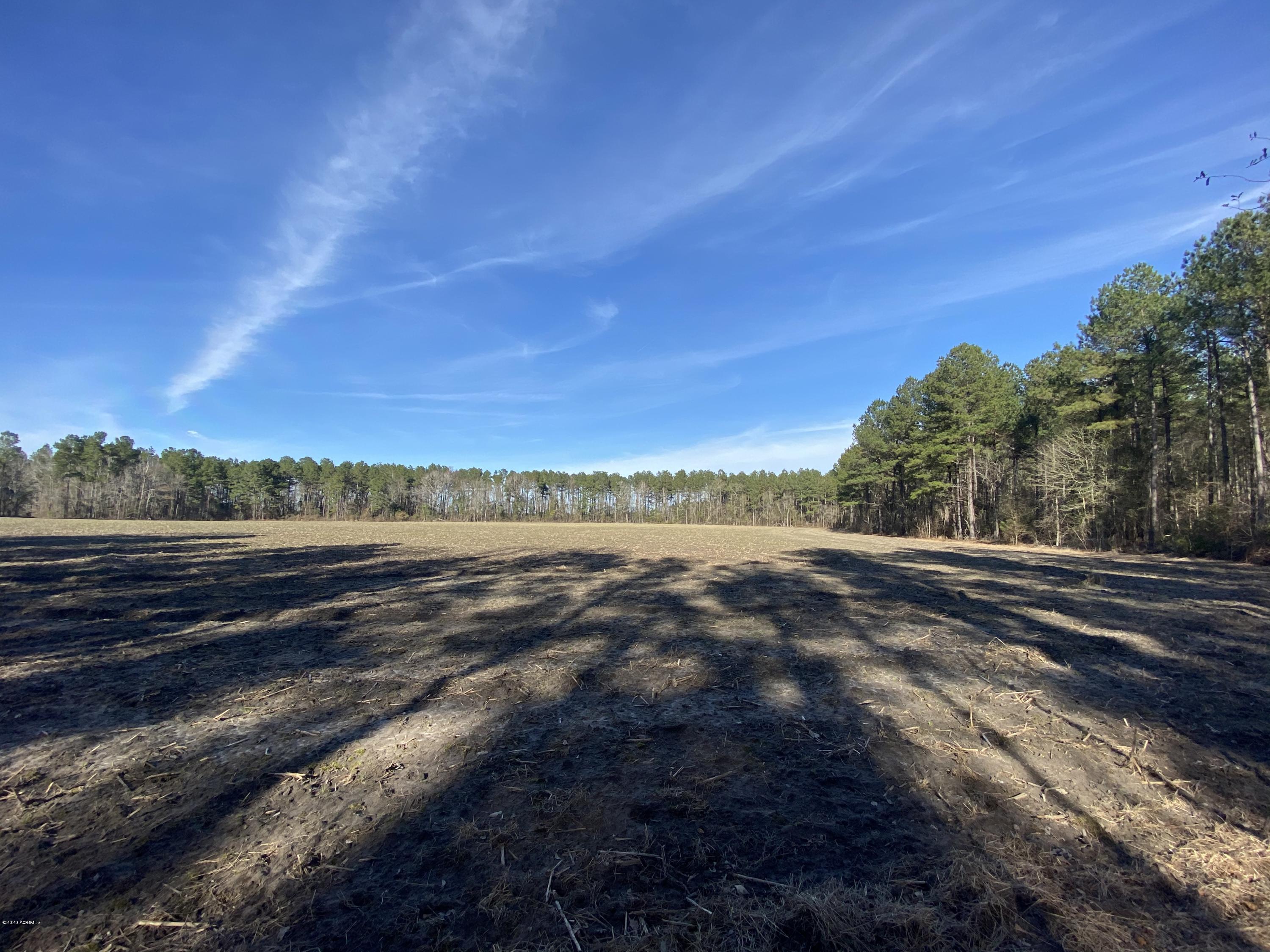 990 Mixons Corner Road Fairfax, SC 29827 - Photo 20 of 32 IMG_1123