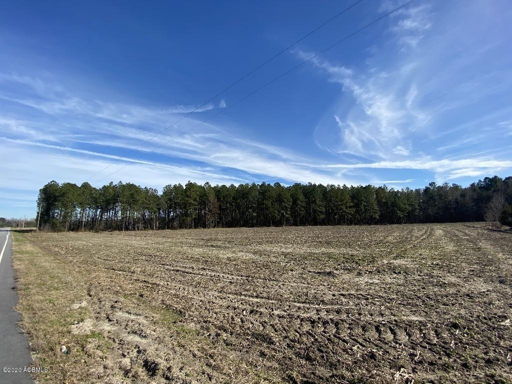 990 Mixons Corner Road Fairfax, SC 29827 - Photo 2 of 32 IMG_1102