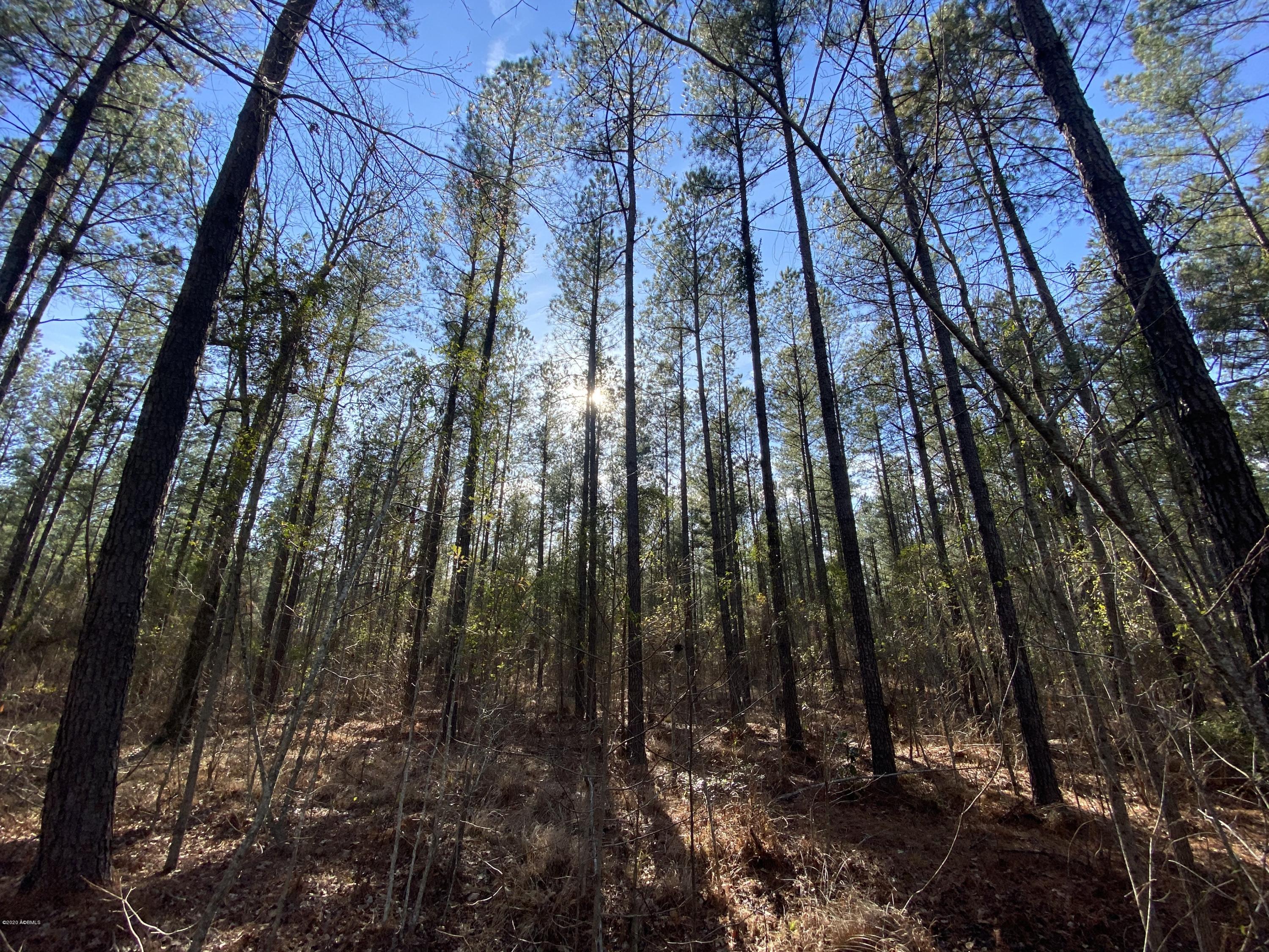 990 Mixons Corner Road Fairfax, SC 29827 - Photo 21 of 32 IMG_1124
