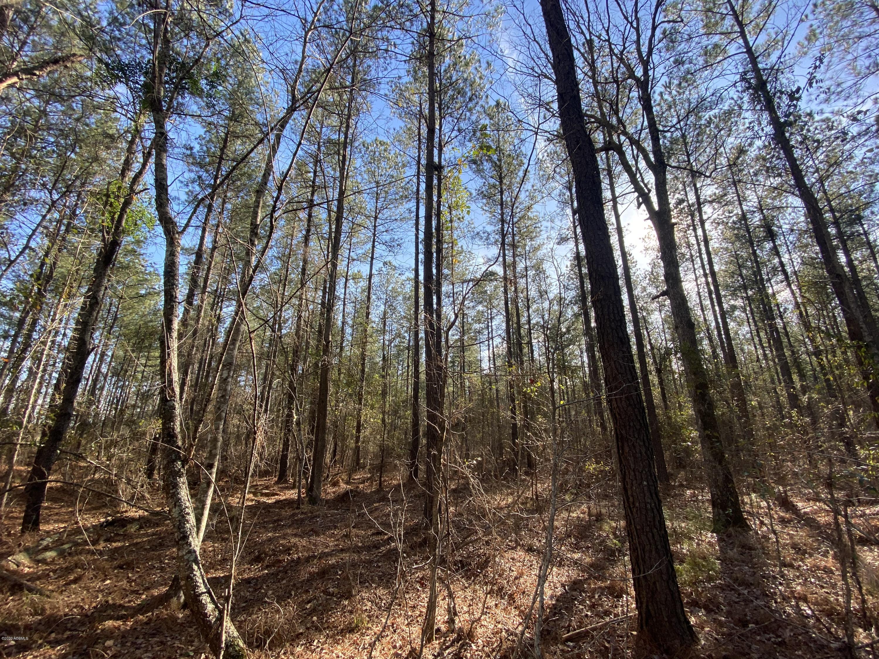 990 Mixons Corner Road Fairfax, SC 29827 - Photo 22 of 32 IMG_1125