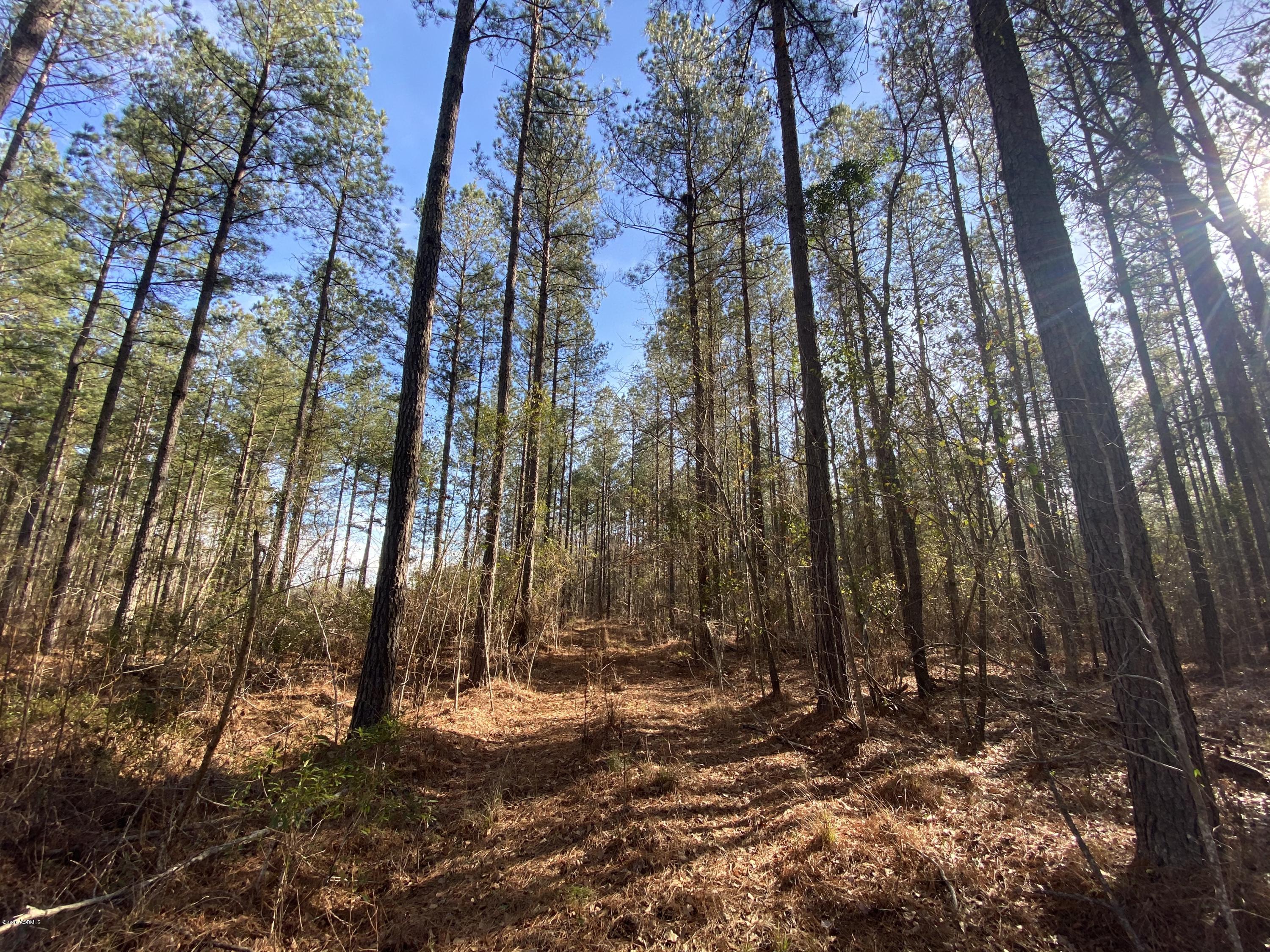 990 Mixons Corner Road Fairfax, SC 29827 - Photo 23 of 32 IMG_1128