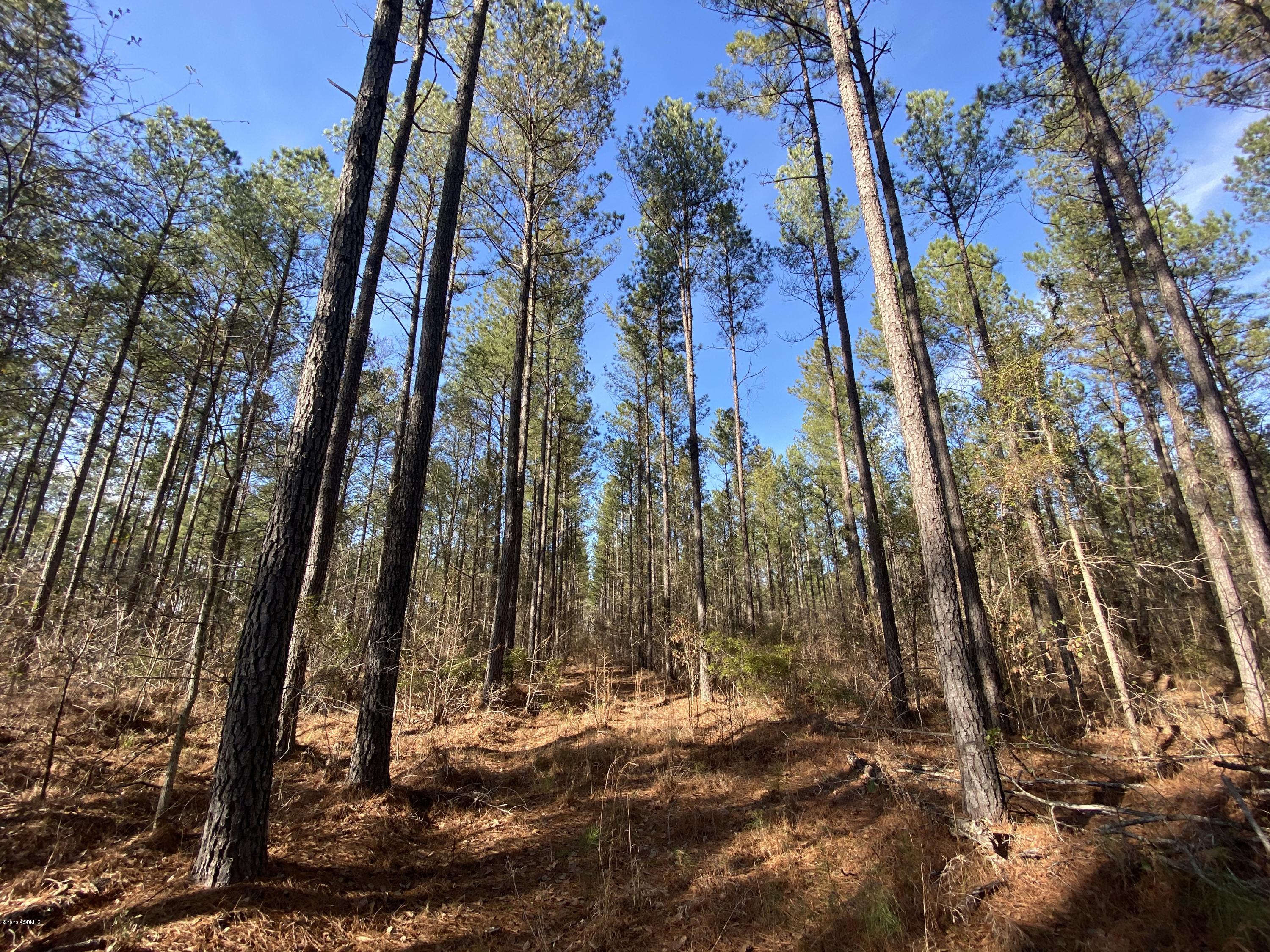 990 Mixons Corner Road Fairfax, SC 29827 - Photo 27 of 32 IMG_1133