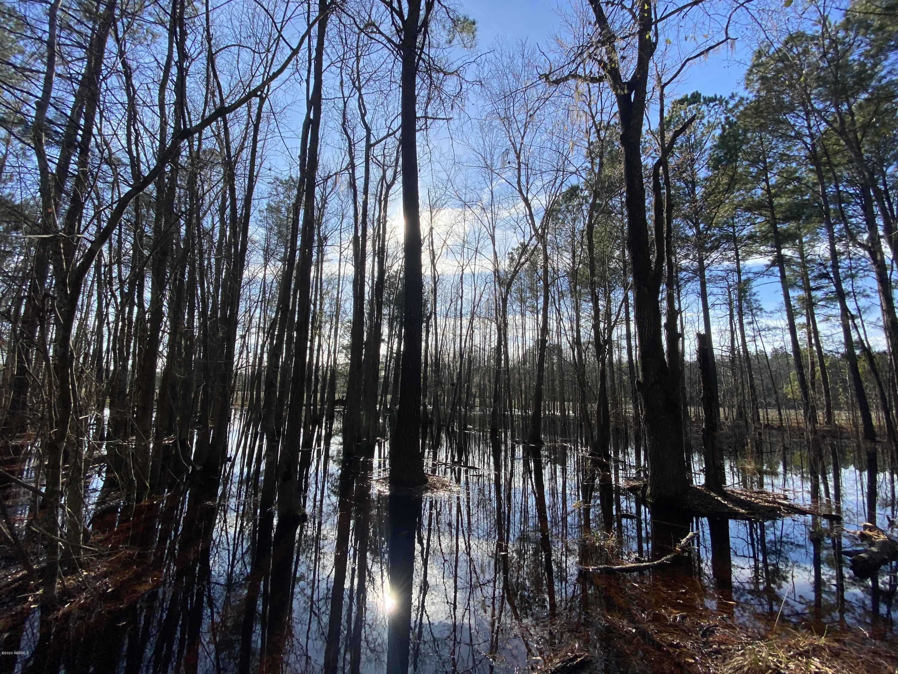 990 Mixons Corner Road Fairfax, SC 29827 - Photo 29 of 32 IMG_1137
