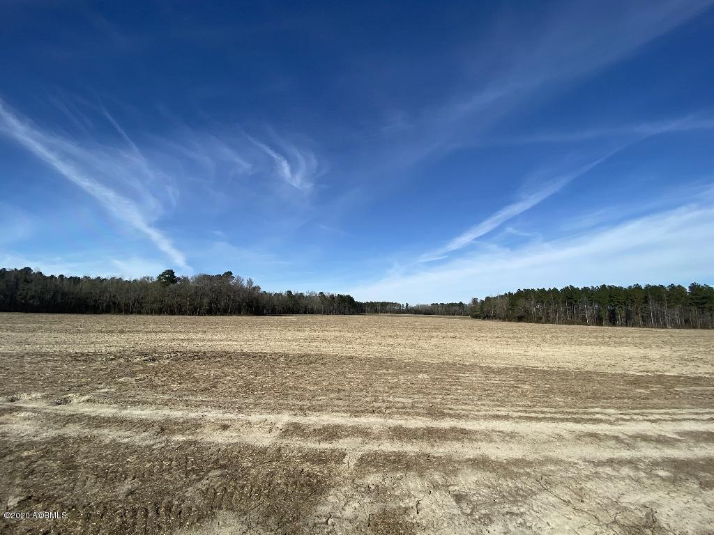 990 Mixons Corner Road Fairfax, SC 29827 - Photo 8 of 32 IMG_1110
