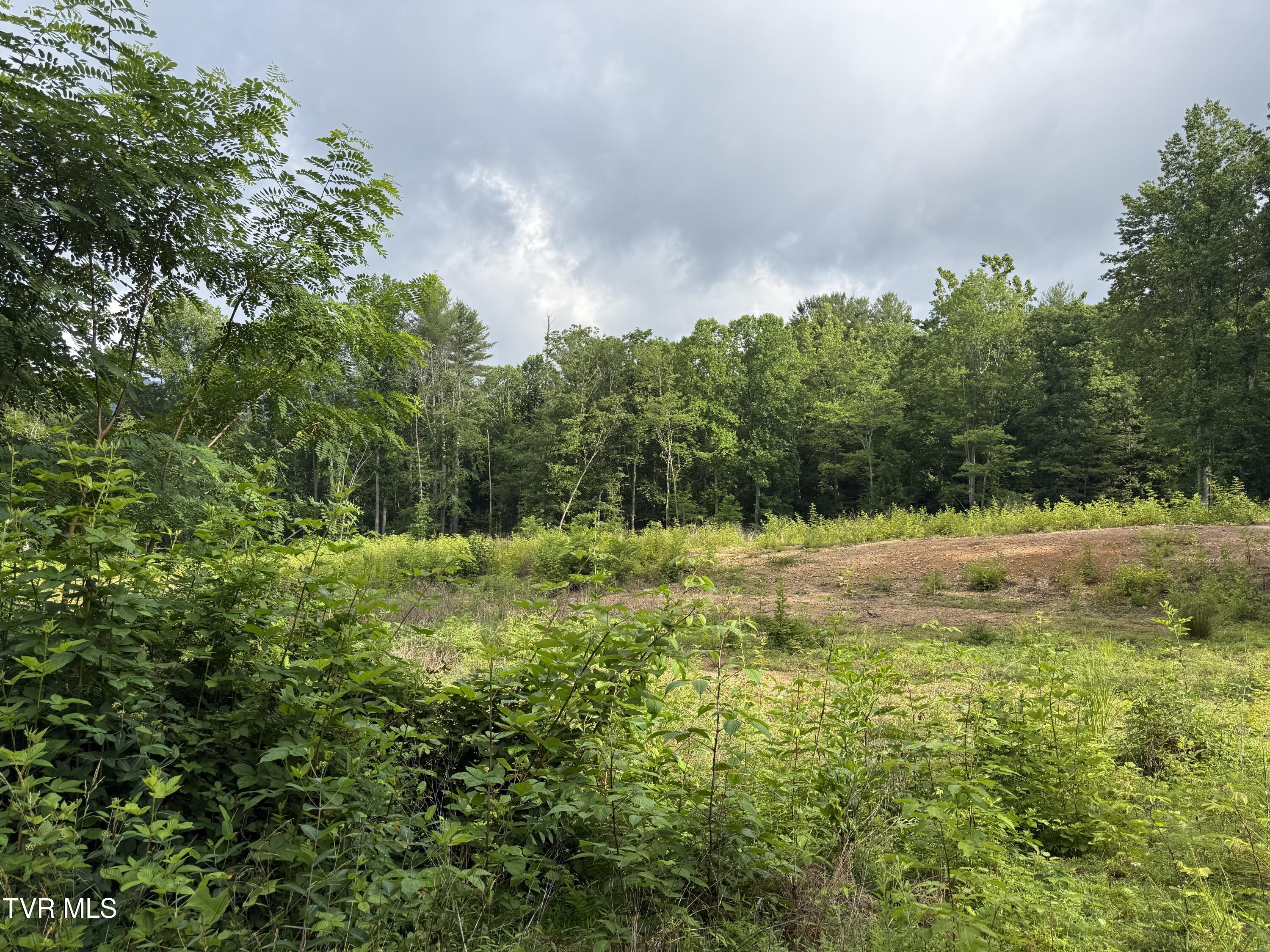 Tbd Rhea Lane, Unit 57 & 58 Mountain City, TN 37683 - Photo 3 of 10 TBD Rhea Lane 1