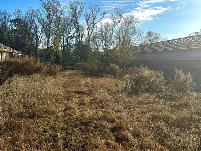 a view of a lake with a forest