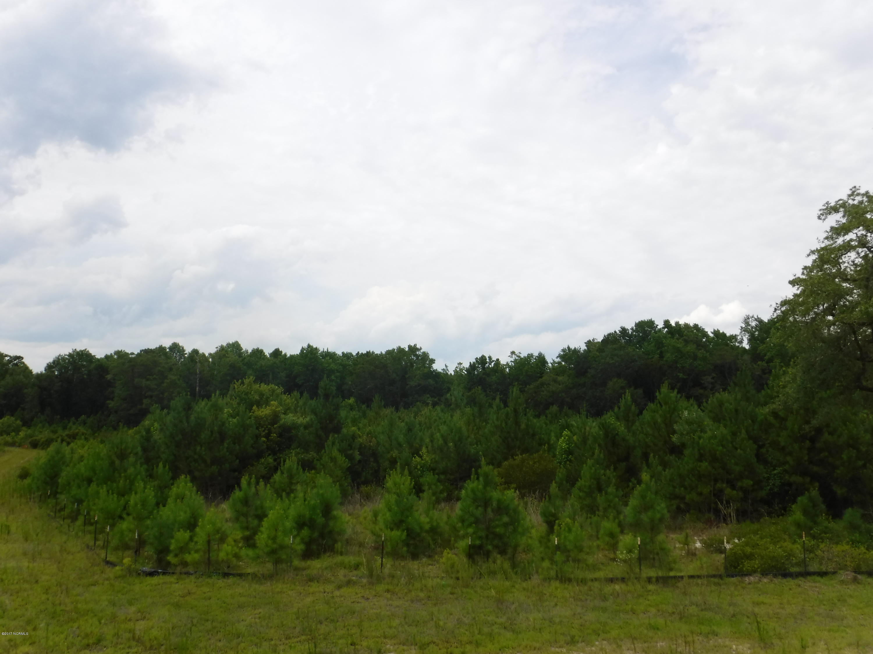 0 Homestead Lane Holly Ridge, NC 28445 - Photo 22 of 26 DSCF0045