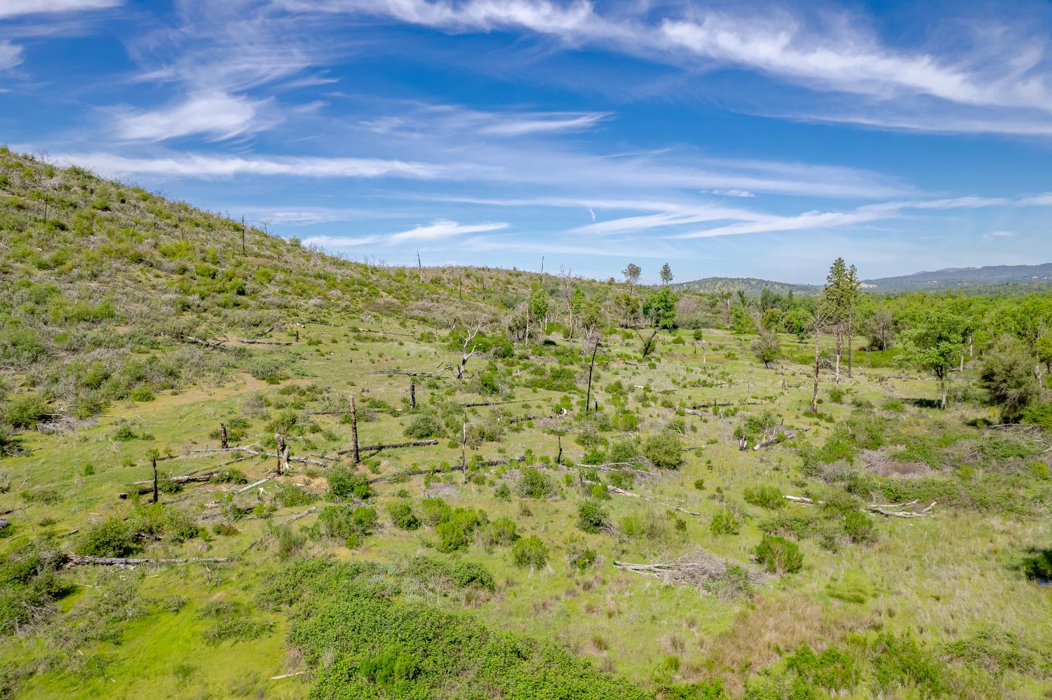 11923 Loma Rica Road Marysville, CA 95901 - Photo 20 of 35 Gallery Image 20
