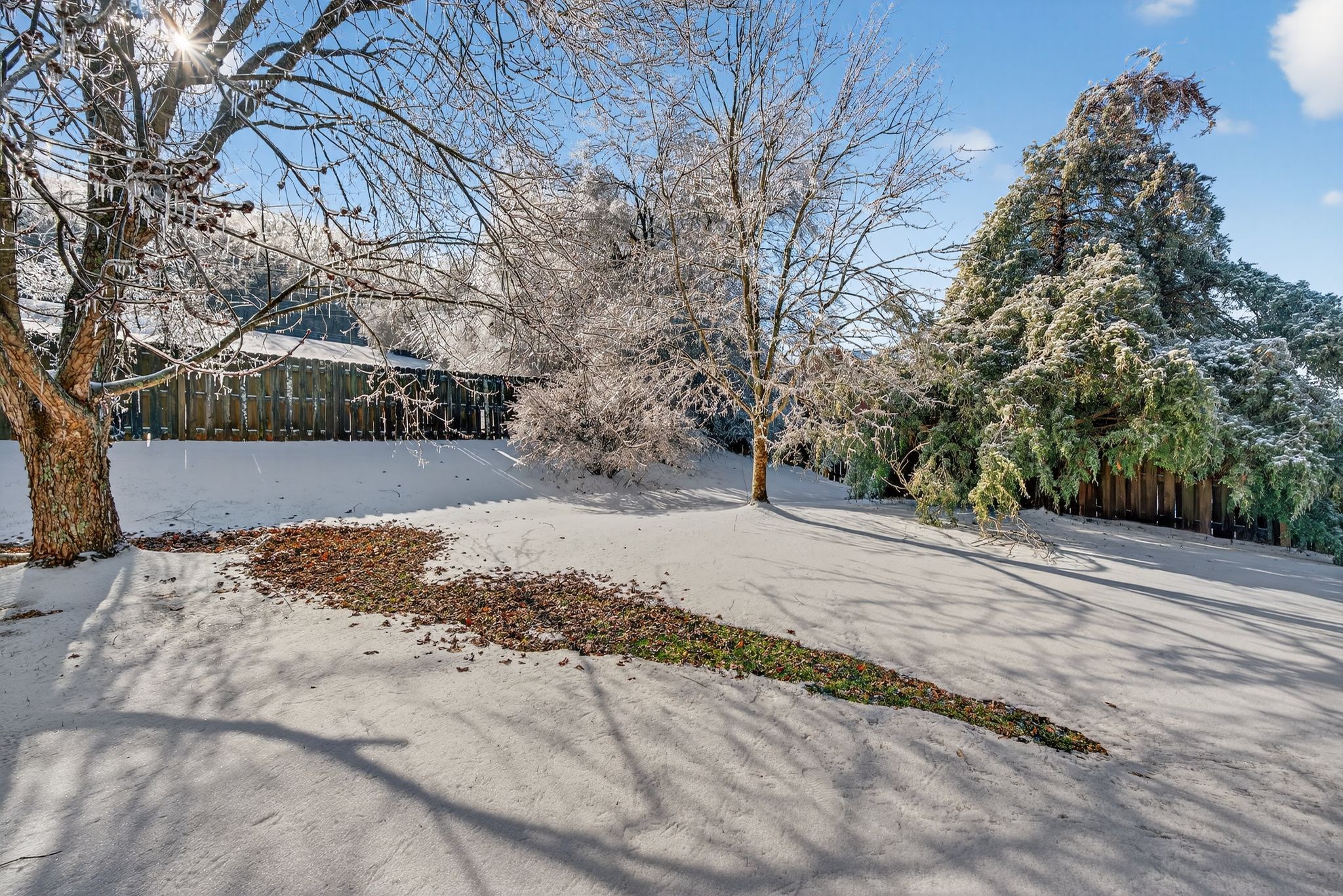 7205 Explorer Trail Nashville, TN 37221 - Photo 30 of 30 a view of a yard covered with snow