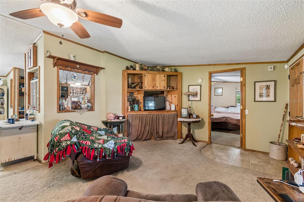 4404 Platt Road Plant City, FL 33565 - Photo 6 of 31 Gallery Image 6