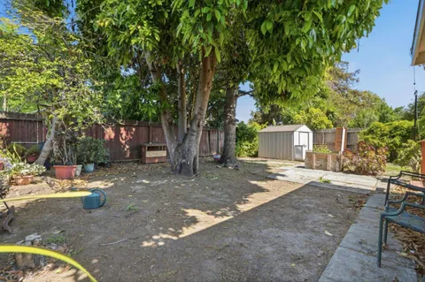 a view of a outdoor space with a tree