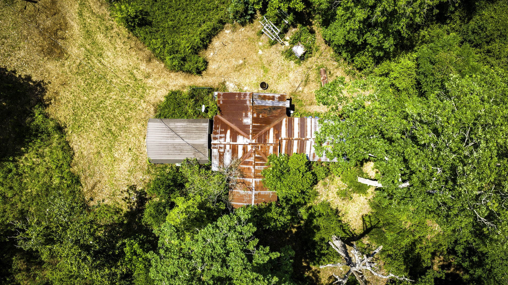 5800 Outlaw Bend Road Livingston, TX 77351 - Photo 9 of 29