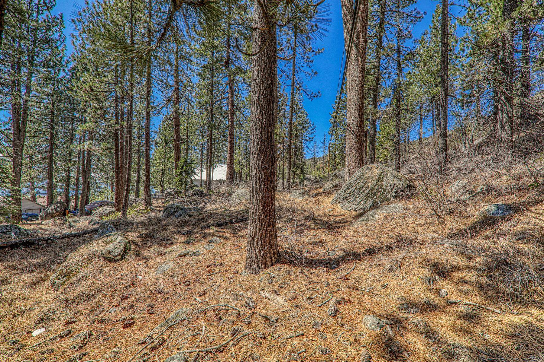13014 Donner Pass Road Truckee, CA 96161 - Photo 15 of 28 Gallery Image 15