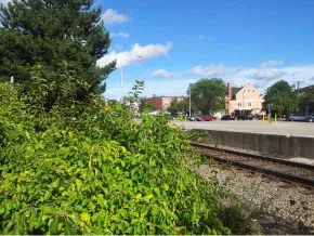 $2,395 | 2 Silver Street, Unit 13, Dover, NH 03820