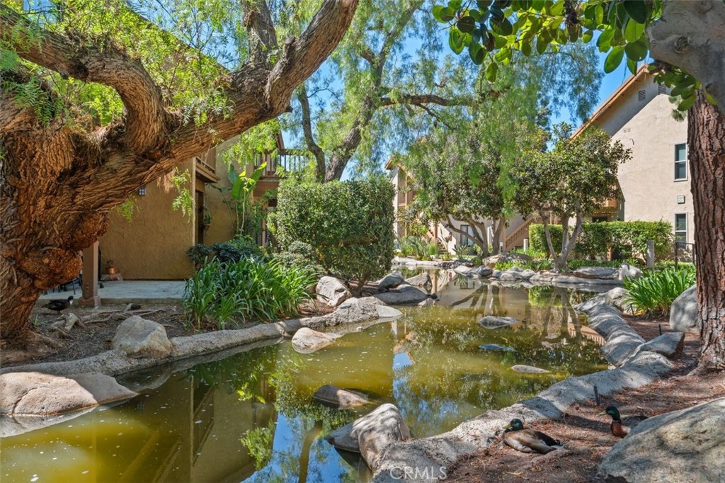 89 Lemon Grove Irvine, CA 92618 - Photo 28 of 34 a view of swimming pool with outdoor seating and plants