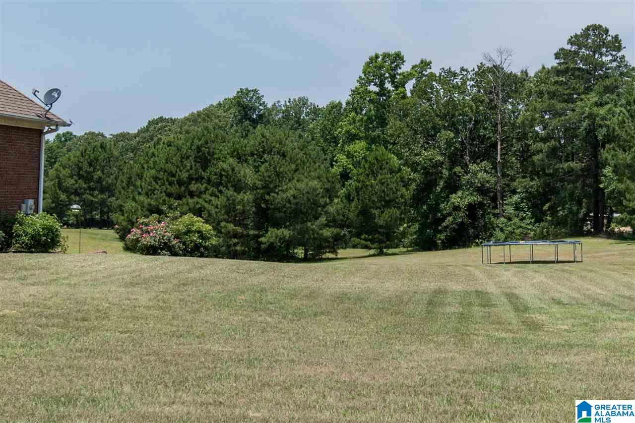 8686 County Line Road Dora, AL 35062 - Photo 45 of 49