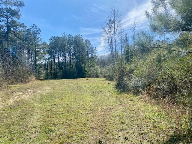0 Beansie Rushing Road Tylertown, MS 39667 - Photo 14 of 17 Photo 14