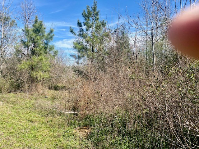 0 Beansie Rushing Road Tylertown, MS 39667 - Photo 16 of 17 Photo 16