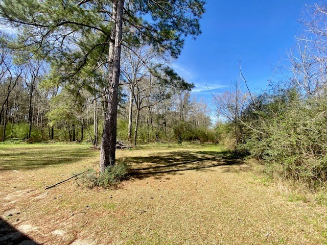 0 Beansie Rushing Road Tylertown, MS 39667 - Photo 3 of 17 Photo 3