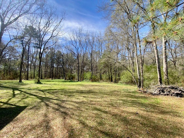 0 Beansie Rushing Road Tylertown, MS 39667 - Photo 4 of 17 Photo 4