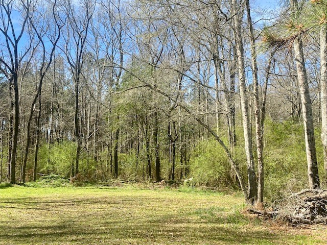 0 Beansie Rushing Road Tylertown, MS 39667 - Photo 5 of 17 Photo 5