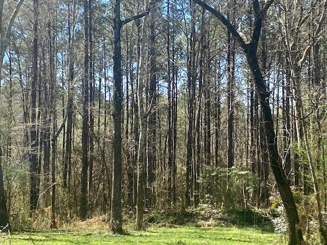 0 Beansie Rushing Road Tylertown, MS 39667 - Photo 7 of 17 Photo 7