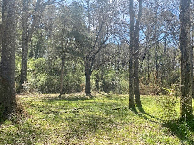 0 Beansie Rushing Road Tylertown, MS 39667 - Photo 10 of 17 Photo 10