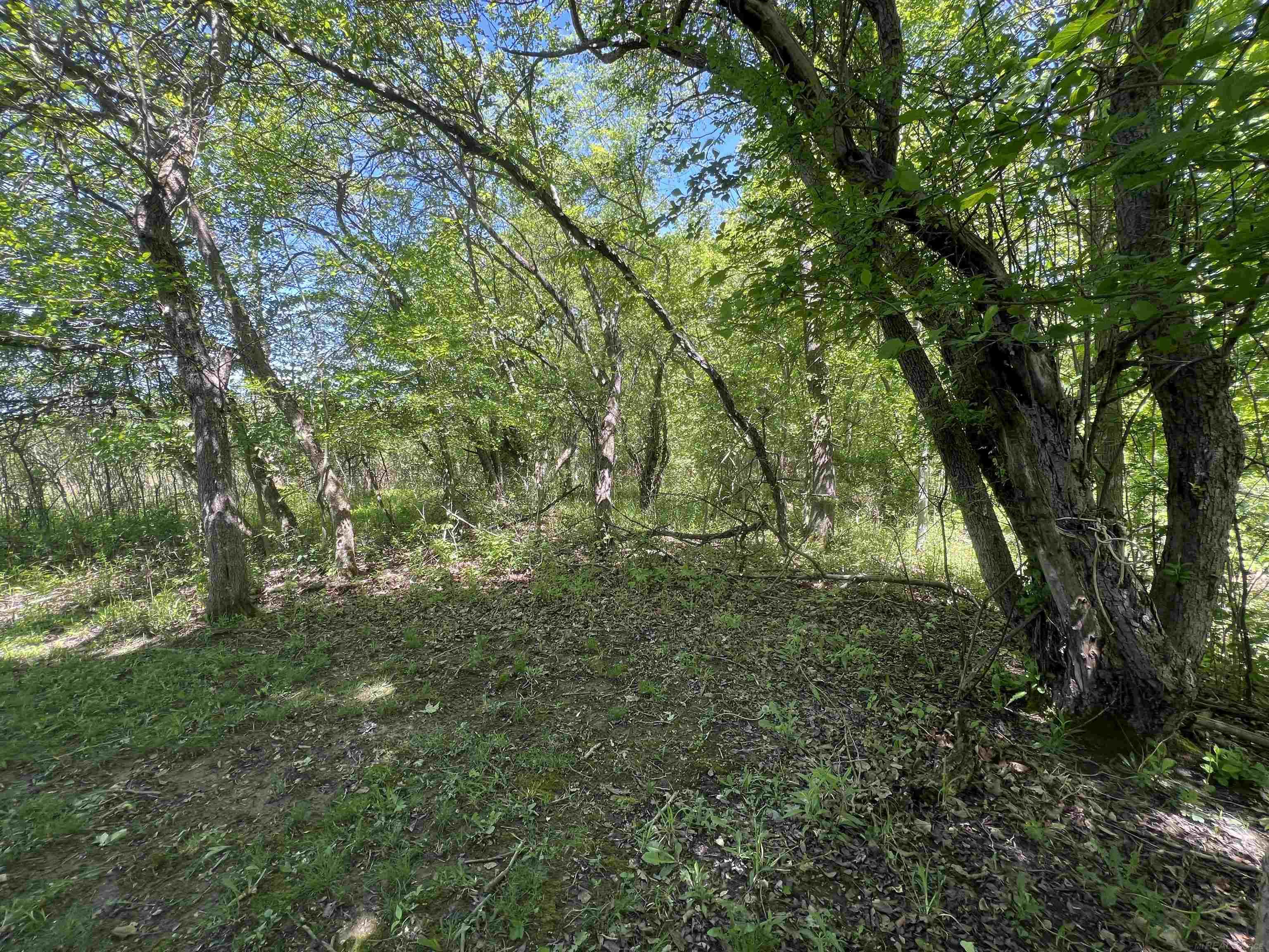 3747 Westrick Road East China, MI 48054 - Photo 8 of 99