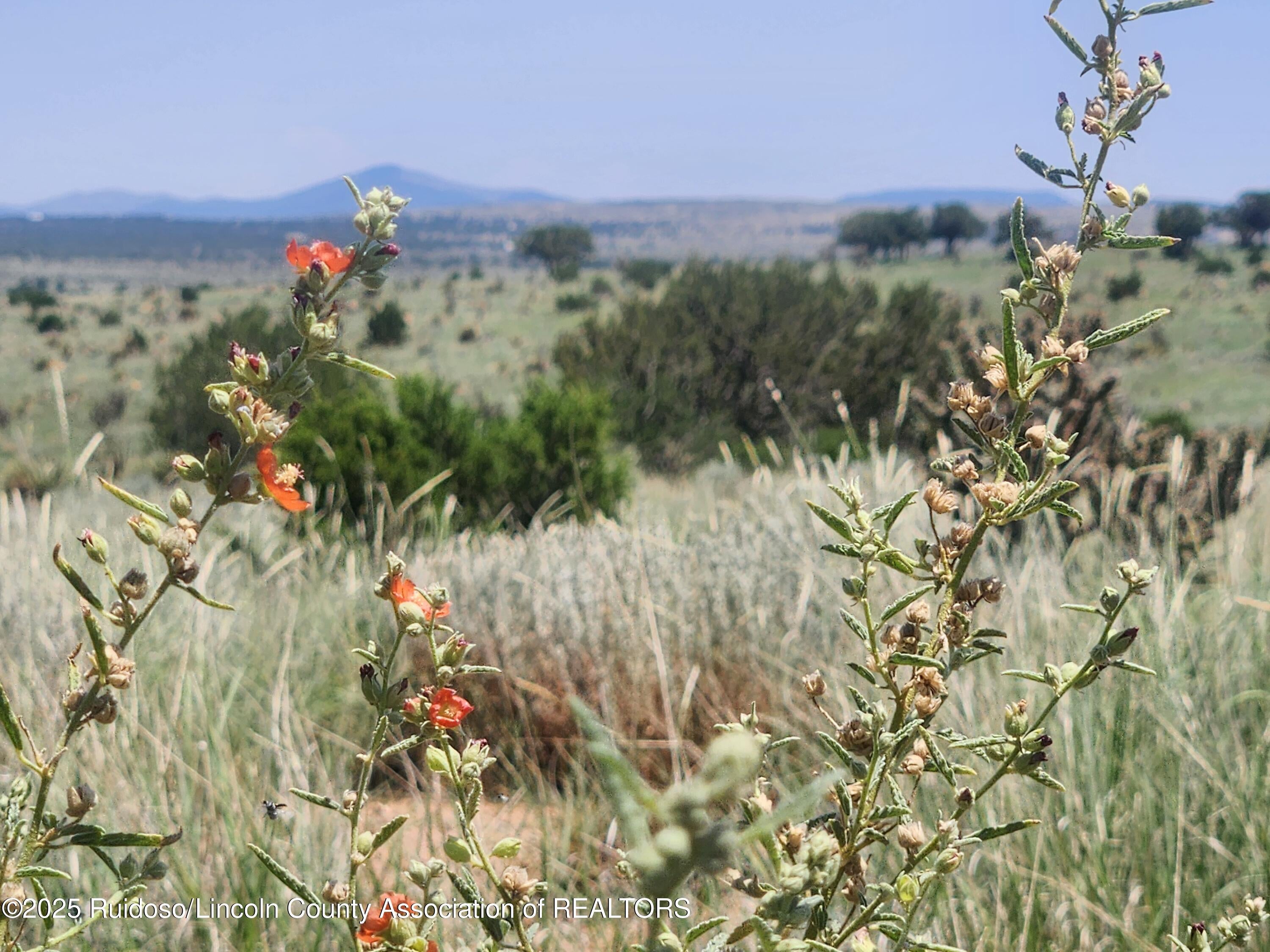 312 Windmill Road Carrizozo, NM 88301 - Photo 1 of 70 Gallery Image 1