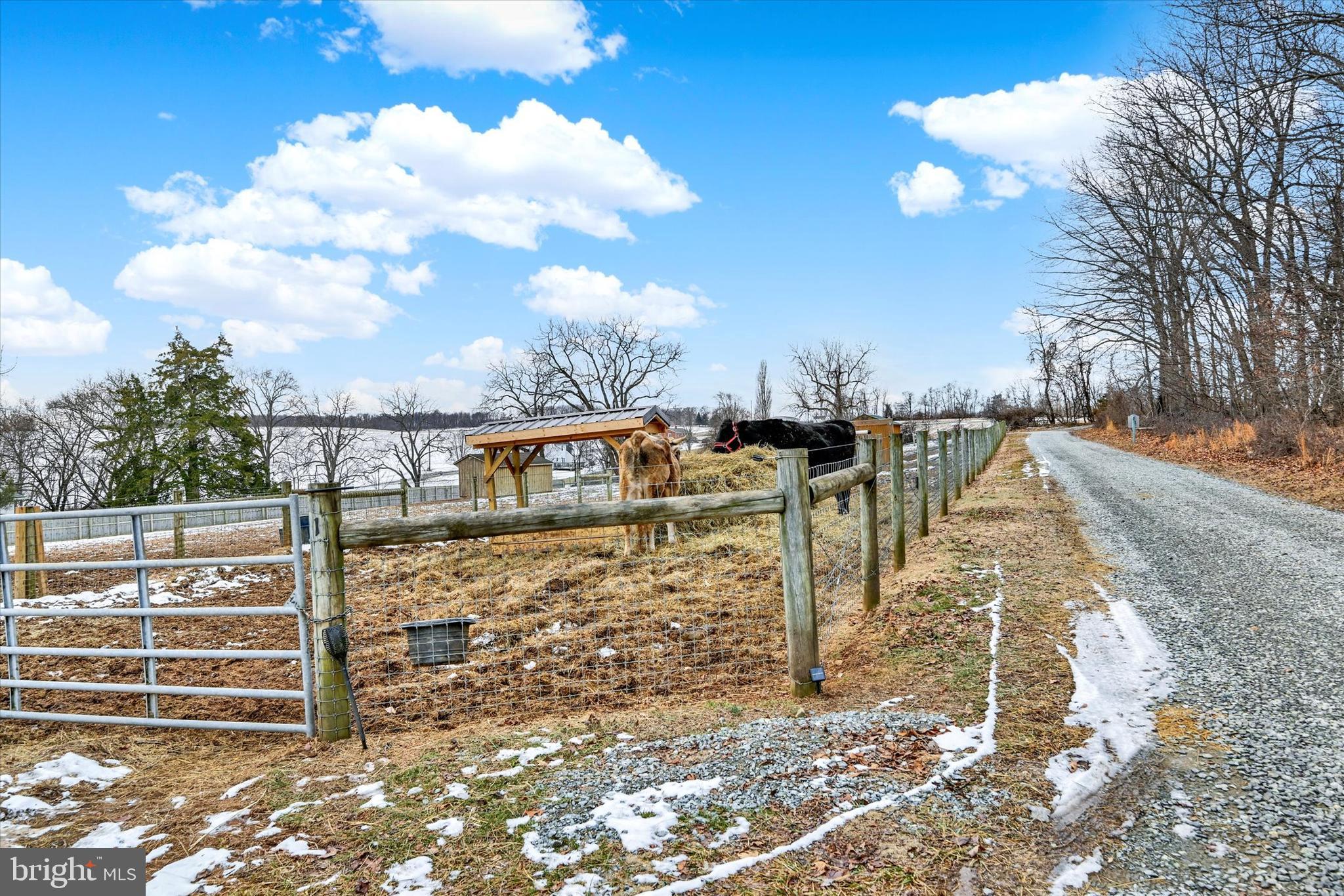 8272 Woodbine Road Airville, PA 17302 - Photo 46 of 60 Fenced Pastures