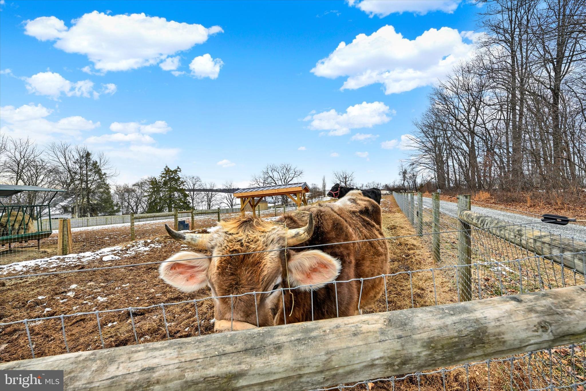 8272 Woodbine Road Airville, PA 17302 - Photo 47 of 60 Just a friendly hello!