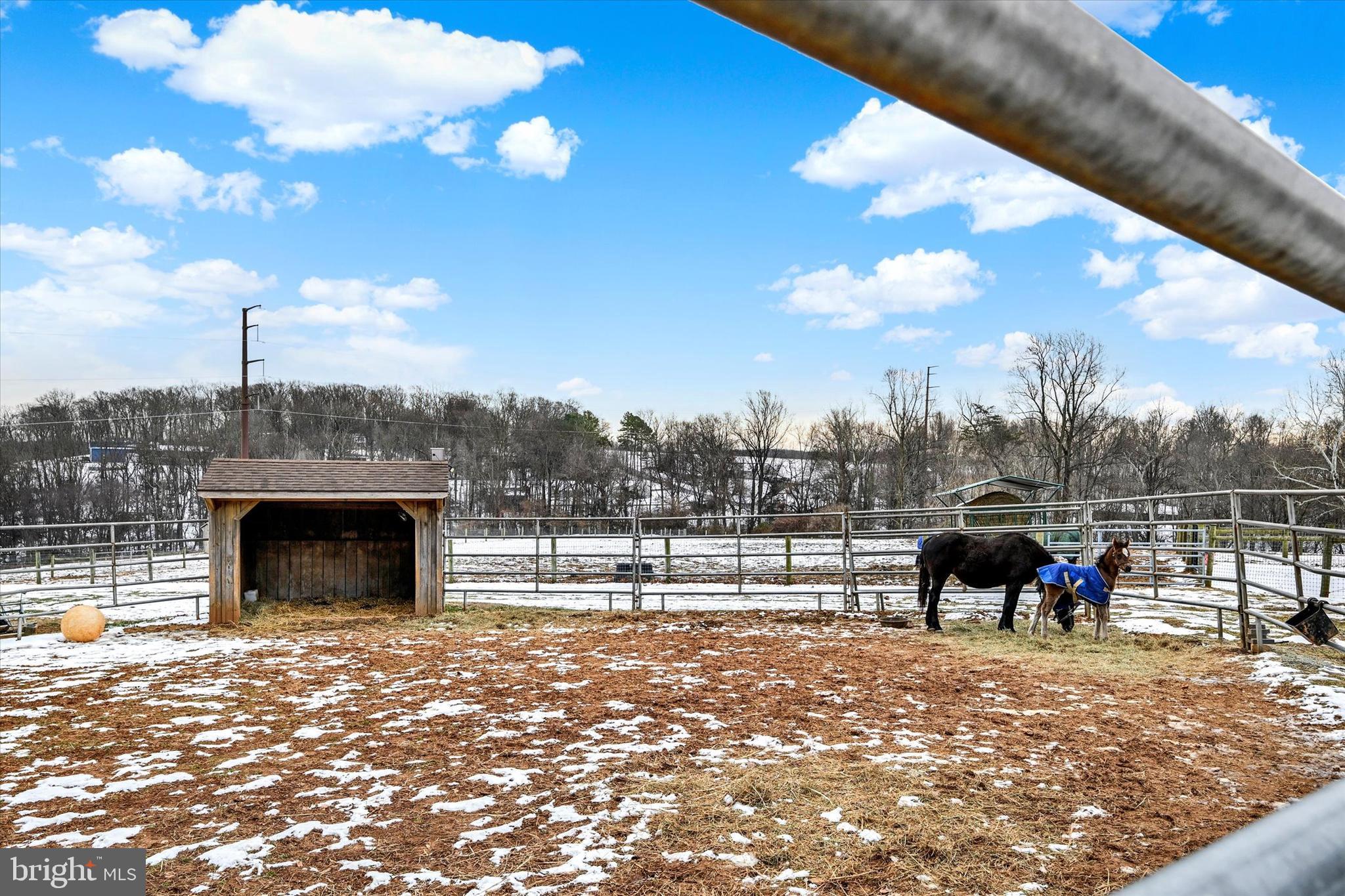 8272 Woodbine Road Airville, PA 17302 - Photo 50 of 77 Fenced Paddock with Run-in Shed